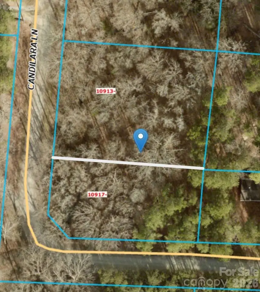 10917 Candilara Lane, Midland, NC 28107 - #1