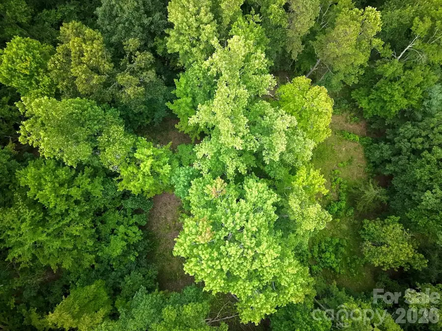 120 Ben Lippen School Road, Asheville, NC 28806 - #3