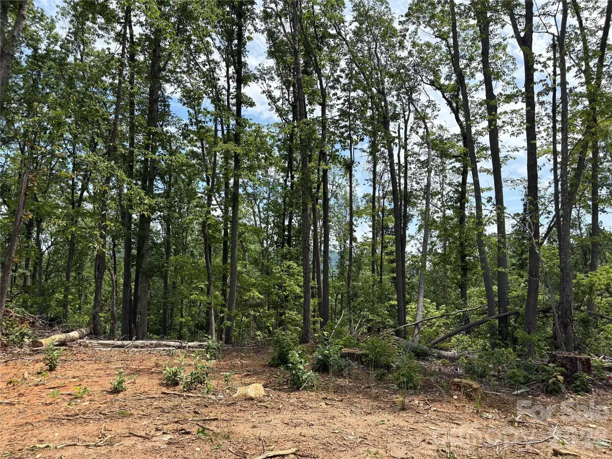 TBD Early Road, Saluda, NC 28773 - #1