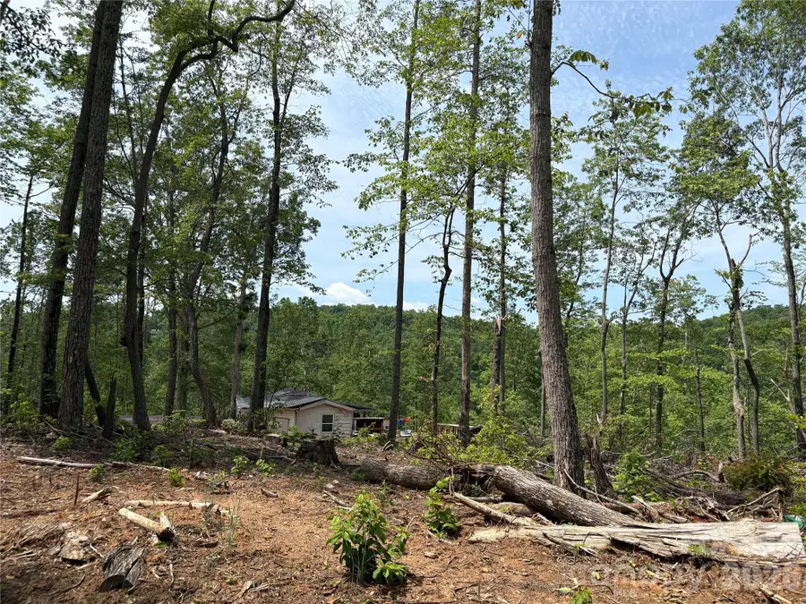 TBD Early Road, Saluda, NC 28773 - #2