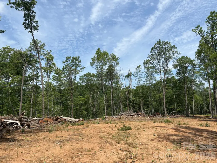TBD Early Road, Saluda, NC 28773 - #3