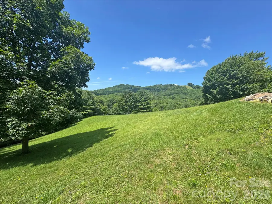 299 Basswood Road, Hot Springs, NC 28743 - #3