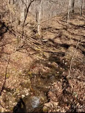 1873 Unahala Creek Road, Bryson City, NC 28713 - #2