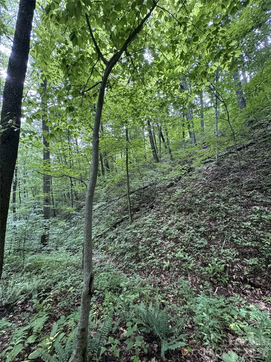 1873 Unahala Creek Road, Bryson City, NC 28713 - #3