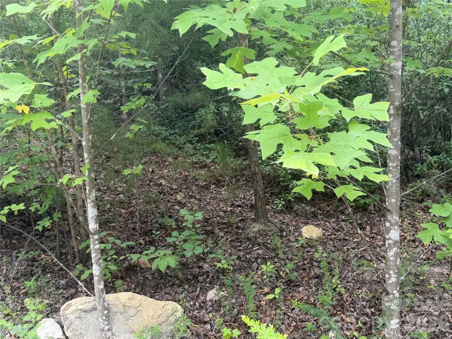 6 Dobsons Knob Loop, Marion, NC 28752 - #3