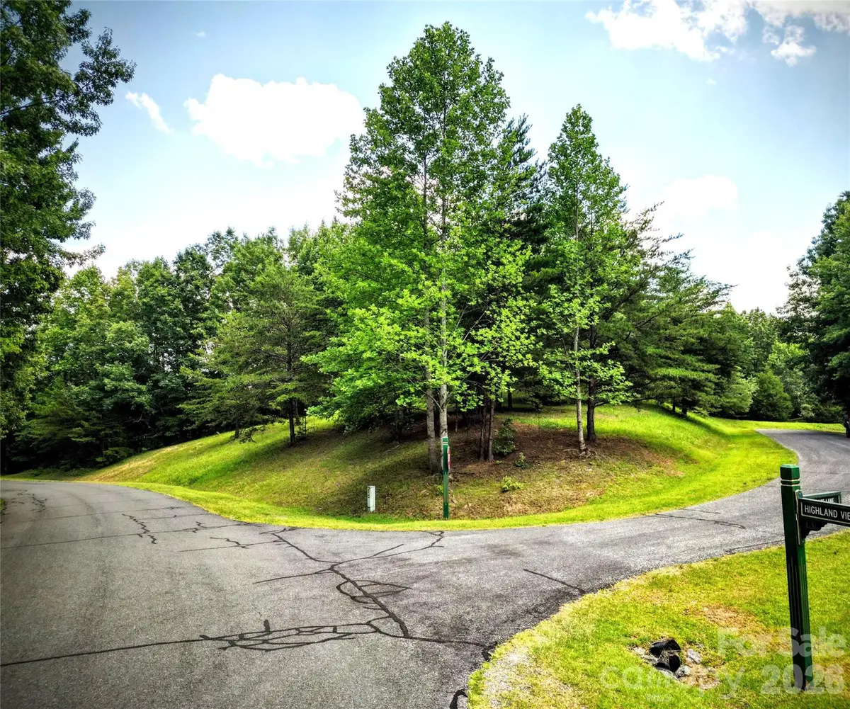 00 Fallen Tree Lane #19, Mill Spring, NC 28756 - #1