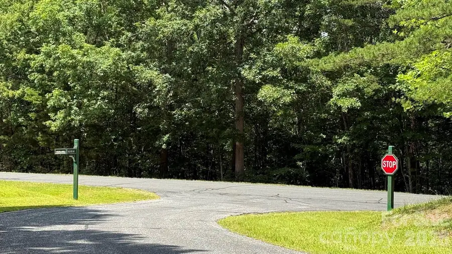 00 Fallen Tree Lane #19, Mill Spring, NC 28756 - #2