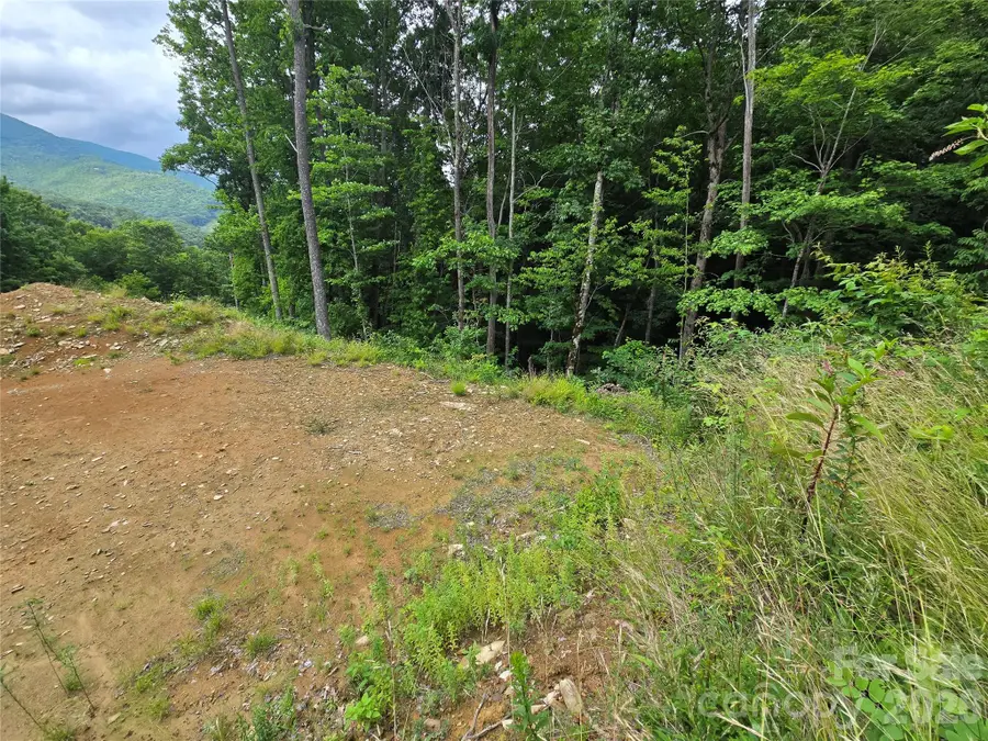 52 Lantern Ridge, Maggie Valley, NC 28751 - #3