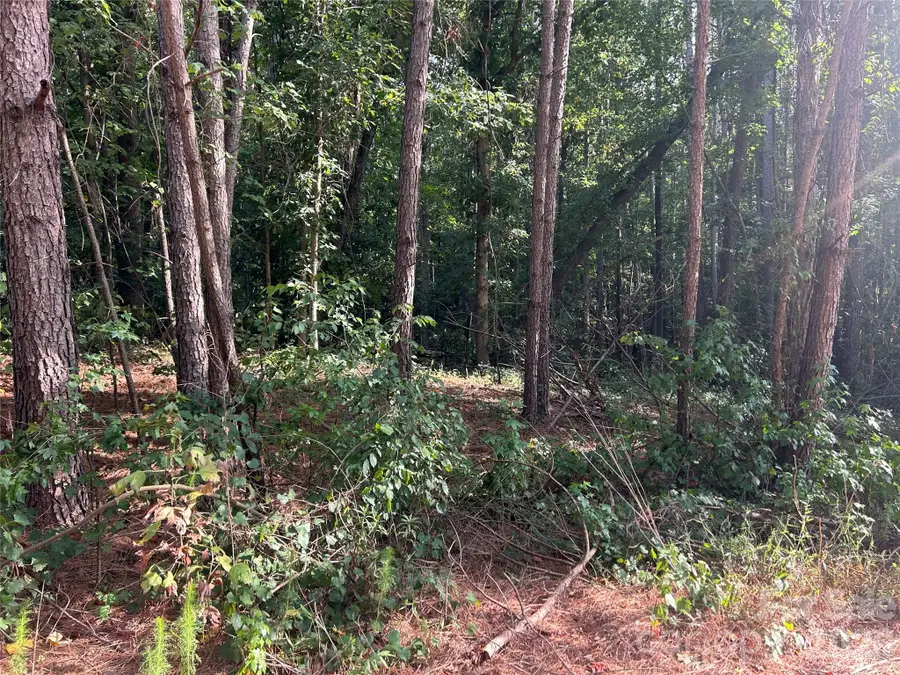00 Knottywood Lane #26, Vale, NC 28168 - #3