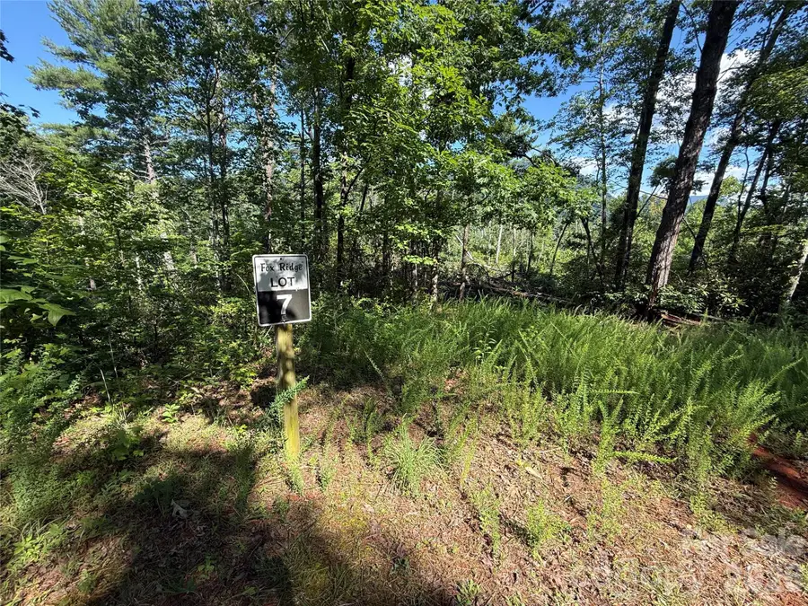 999 Fox Ridge Trail #7, Marion, NC 28752 - #2