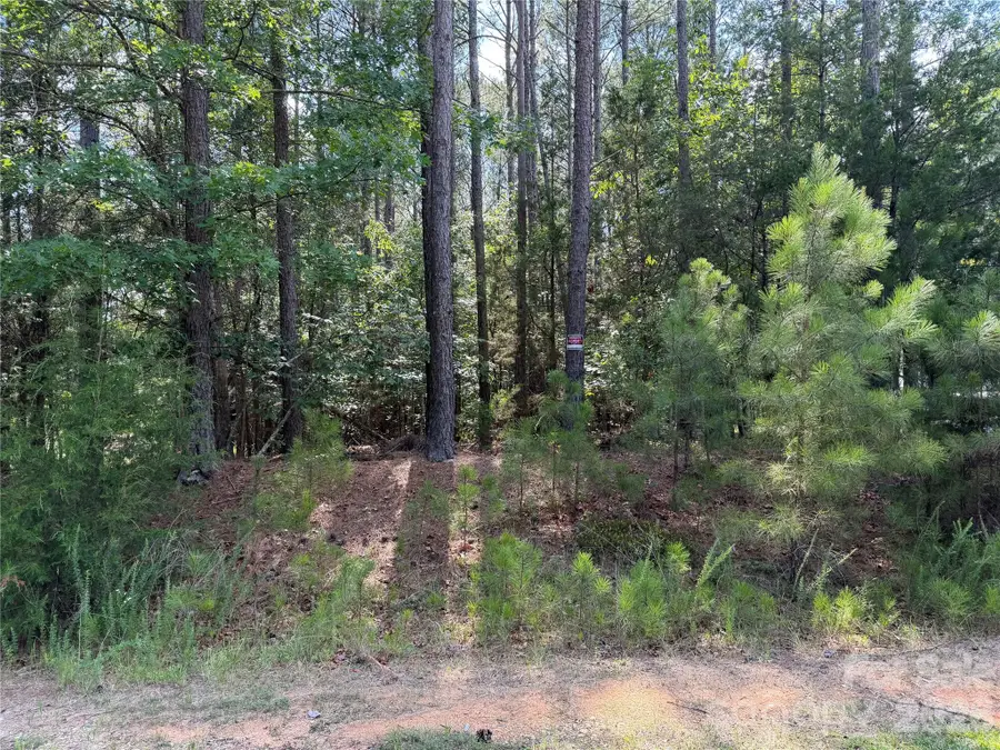 9212 Rustic Creek Trail, Waxhaw, NC 28173 - #3