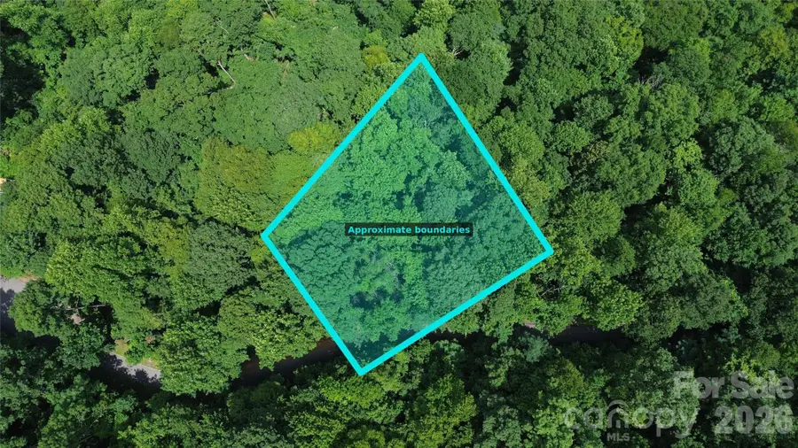 7 White Birch Court, Black Mountain, NC 28711 - #2