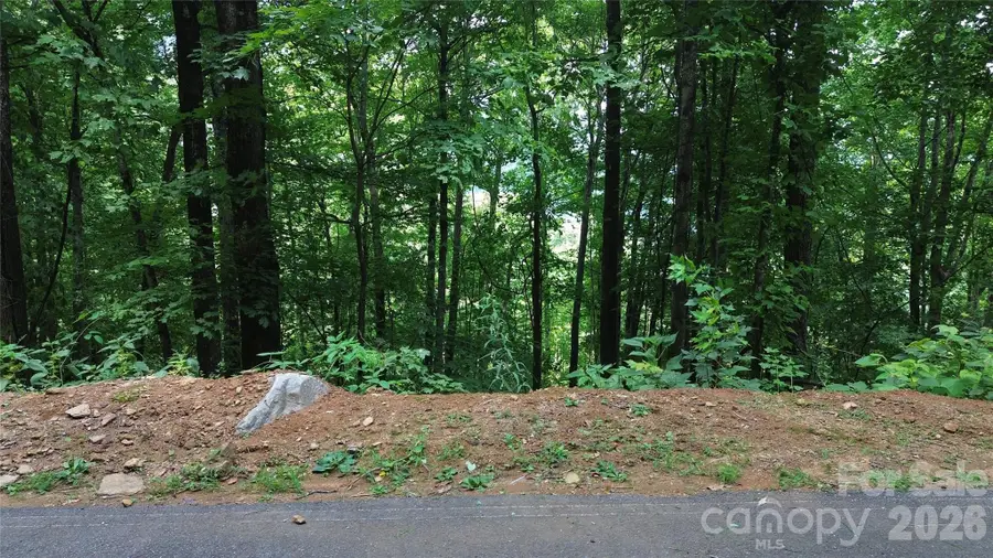 7 White Birch Court, Black Mountain, NC 28711 - #3