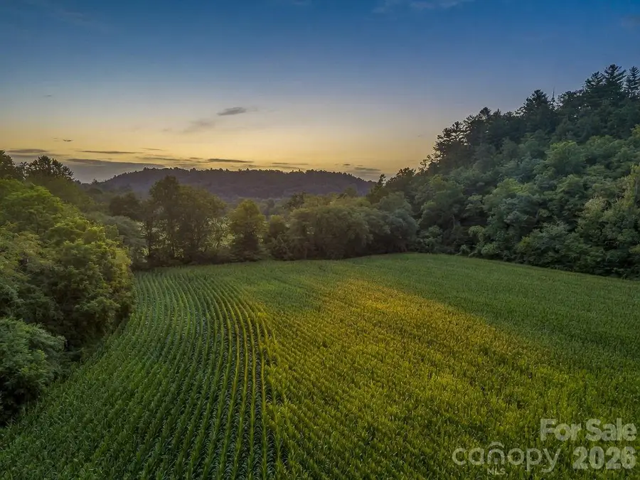 7513 Boylston Highway, Mills River, NC 28759 - #2