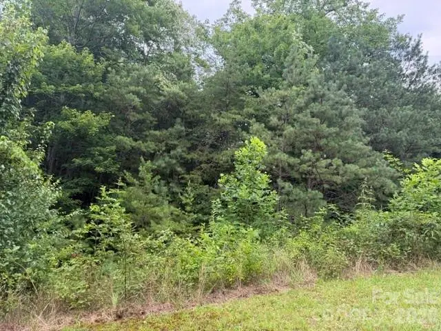 12 Silverstone Drive, Hendersonville, NC 28792 - #2