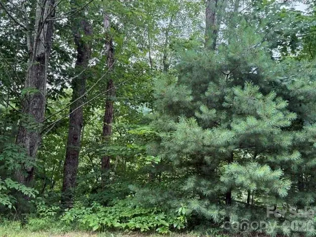 12 Silverstone Drive, Hendersonville, NC 28792 - #3