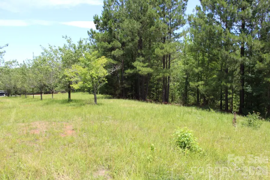 000 John Watson Road, Rutherfordton, NC 28139 - #3