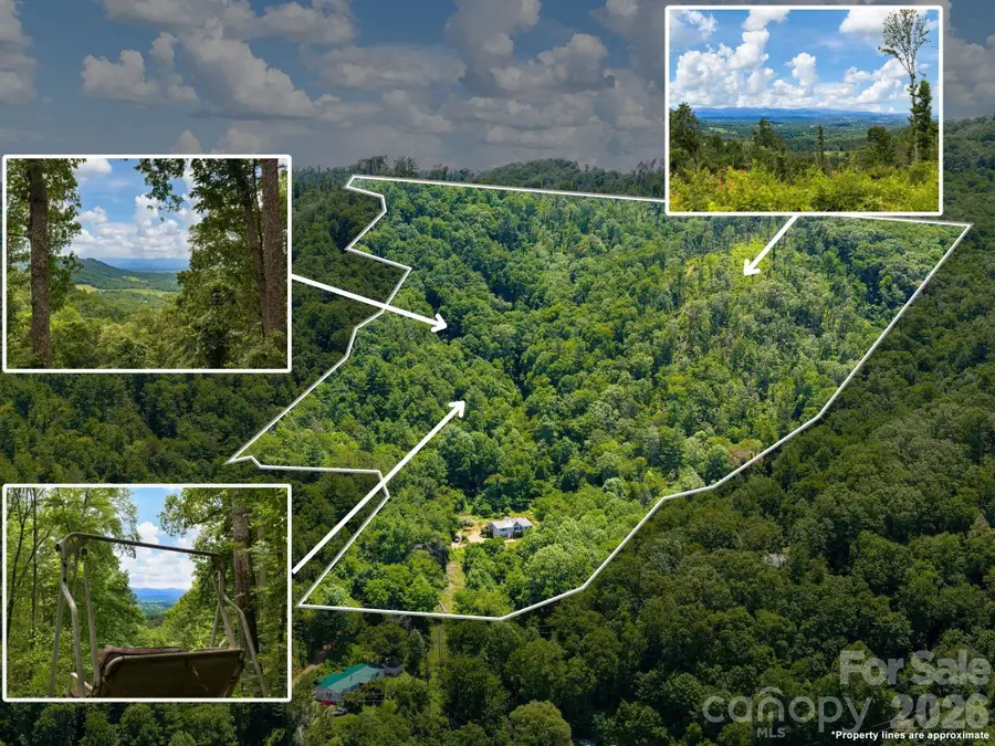 46 Perennial Ridge, Weaverville, NC 28787 - #2