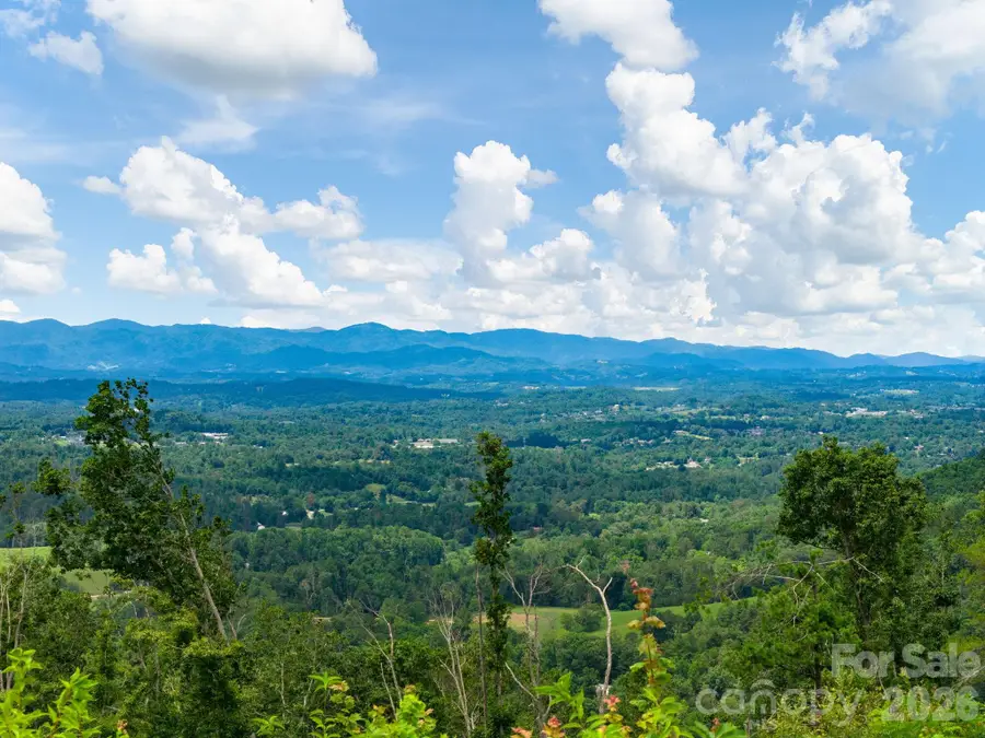 46 Perennial Ridge, Weaverville, NC 28787 - #3