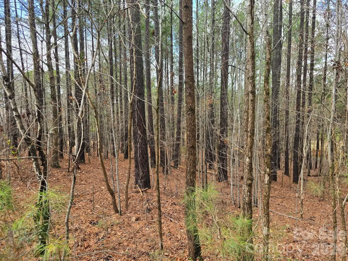 225 Cove Wood Drive, Denton, NC 27239 - #1