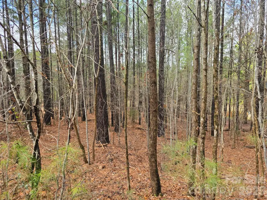 225 Cove Wood Drive, Denton, NC 27239 - #2