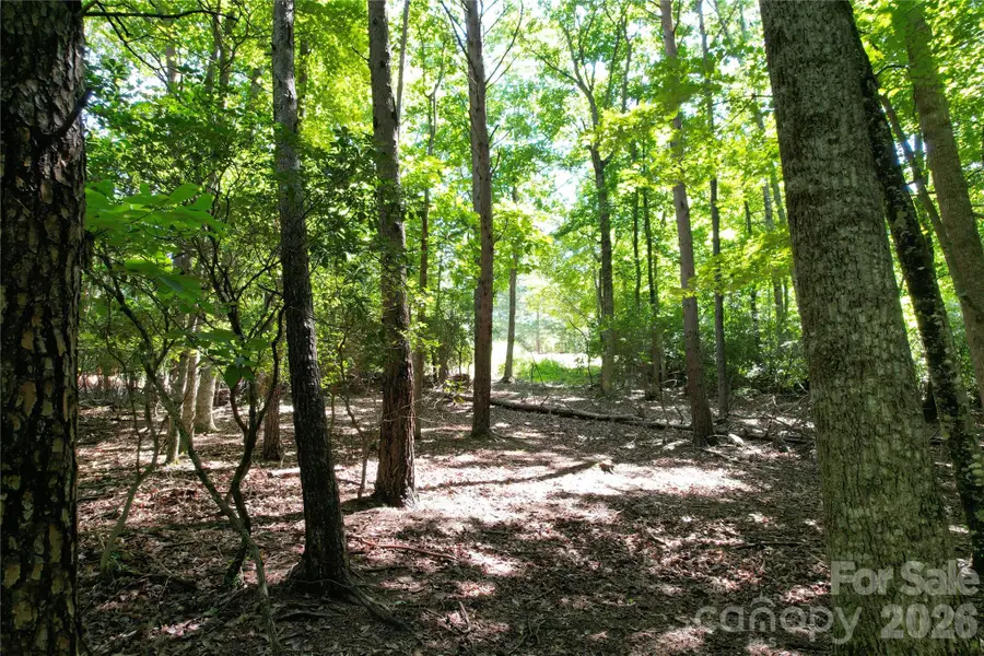 1545 Country View Way #302, Arden, NC 28704 - #3