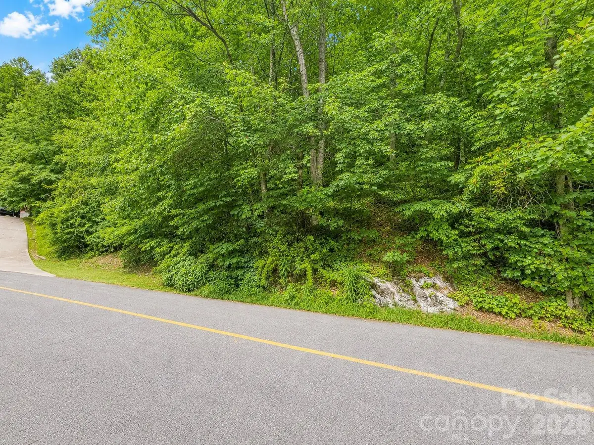 350 Mountain View Drive, Maggie Valley, NC 28751 - #1