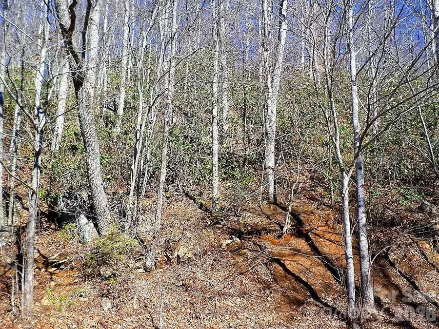 350 Mountain View Drive, Maggie Valley, NC 28751 - #2