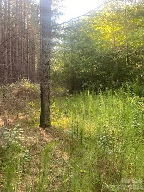 - Red Yam Farm Road, Dallas, NC 28034 - #3