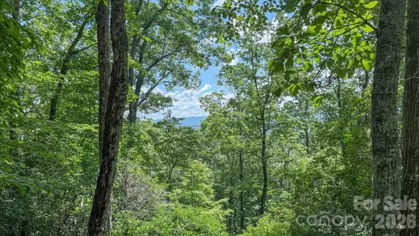TBD Stone Drive #L40, Brevard, NC 28712