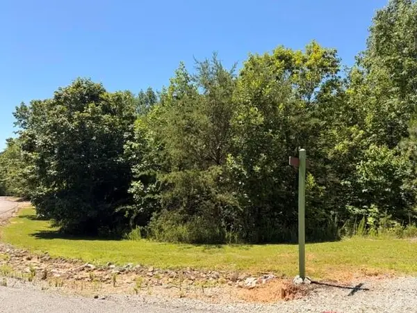 00 Panorama Drive #13, Nebo, NC 28761