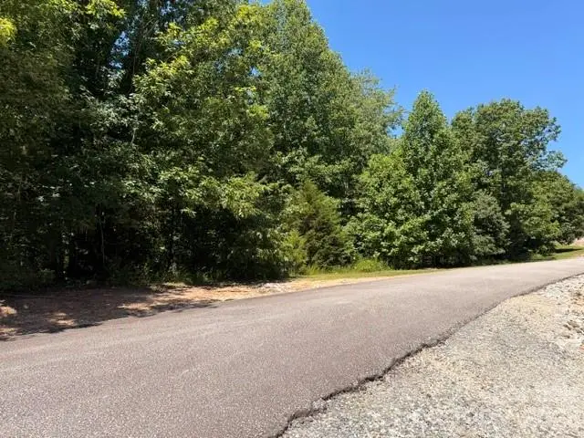 00 Panorama Drive #13, Nebo, NC 28761 - #3