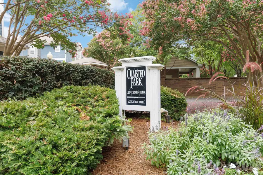 417 Olmsted Park Place #C, Charlotte, NC 28203 - #3