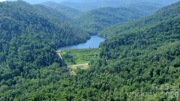 99999 Bee Tree Road, Swannanoa, NC 28778