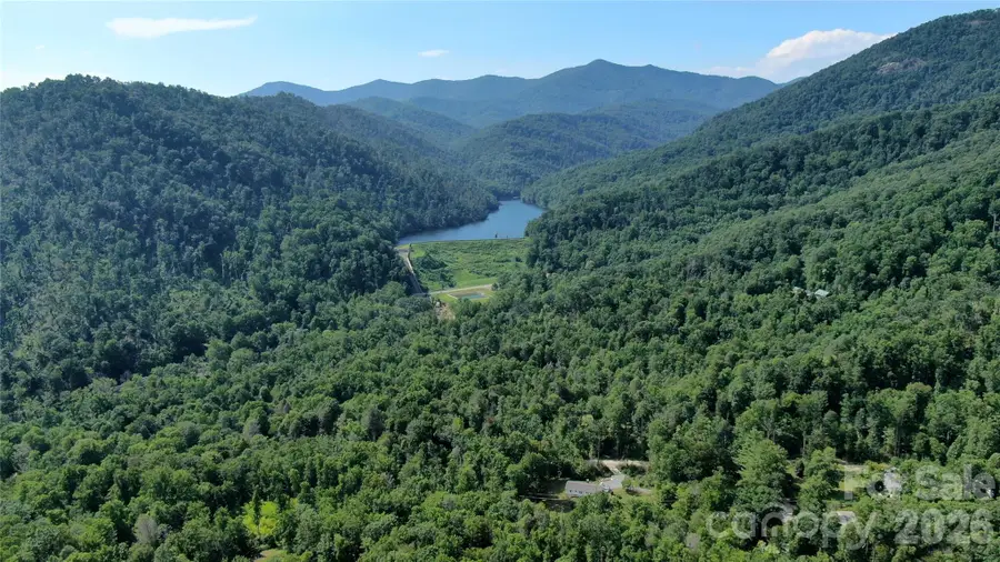 99999 Bee Tree Road, Swannanoa, NC 28778 - #2