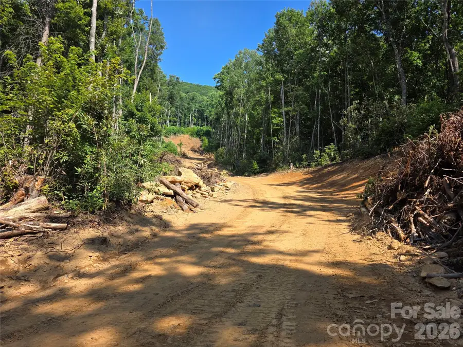 99999 Bee Tree Road, Swannanoa, NC 28778 - #3