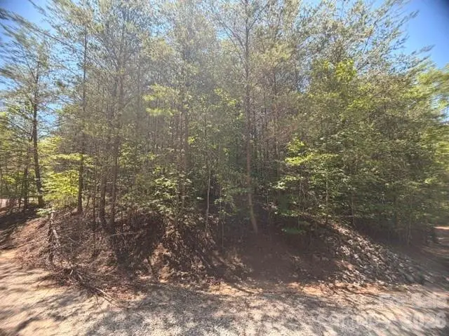 00 Sundance Drive #5-IV, Nebo, NC 28761 - #1