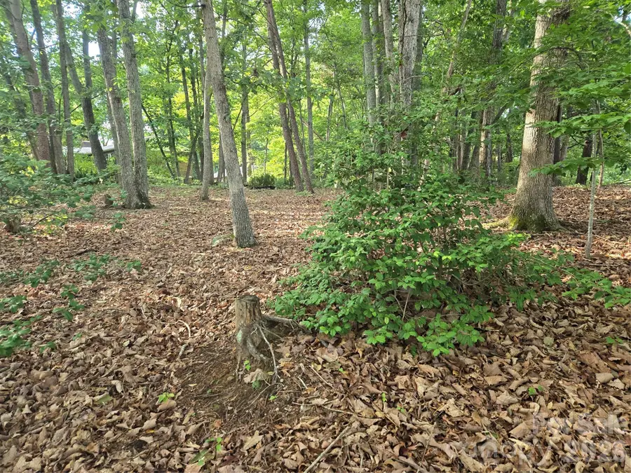 1236 Smithfield Drive, Hudson, NC 28638 - #3