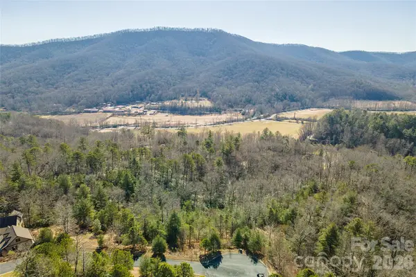 99999 Woodhen Way #138 & 139, Horse Shoe, NC 28742