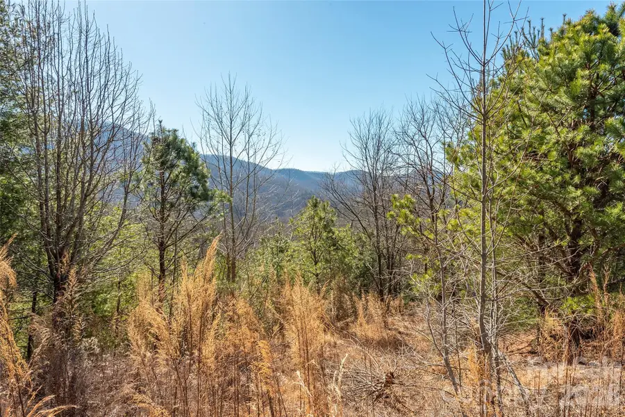 99999 Woodhen Way #138 & 139, Horse Shoe, NC 28742 - #2