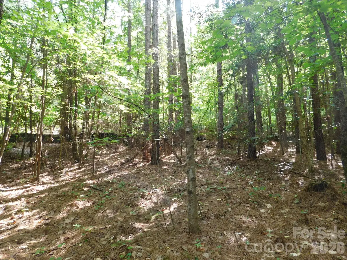 207 W Settings Boulevard Nw, Valdese, NC 28690 - #1