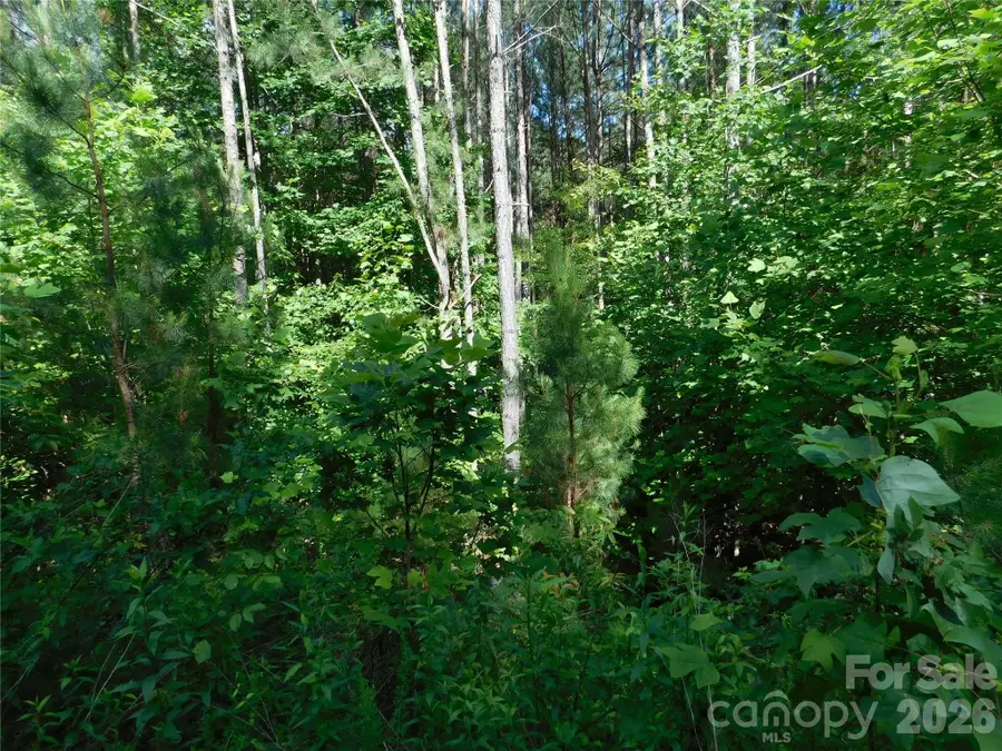 207 W Settings Boulevard Nw, Valdese, NC 28690 - #3