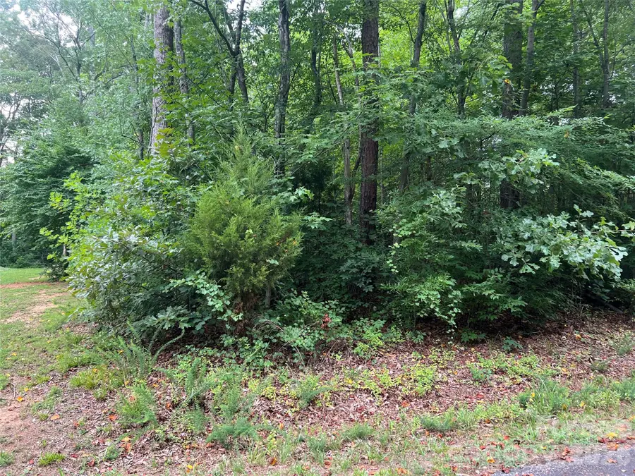 0 Eldon Lane, Salisbury, NC 28144 - #3