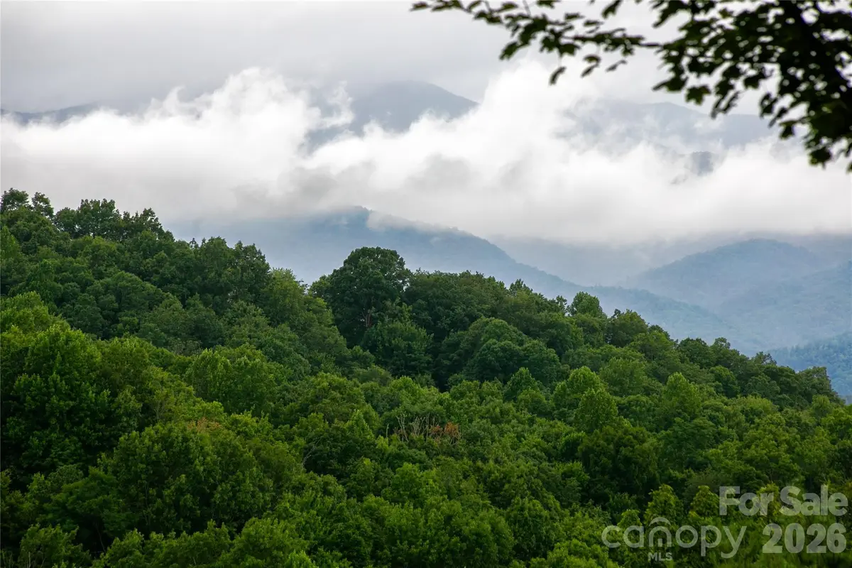 264 Tinequa Drive, Brevard, NC 28712 - #1