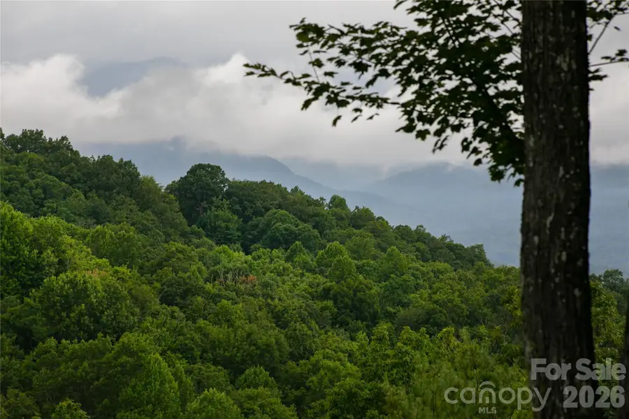 264 Tinequa Drive, Brevard, NC 28712 - #2