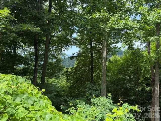 Lot 22 Spring Rock Road, Burnsville, NC 28714 - #1