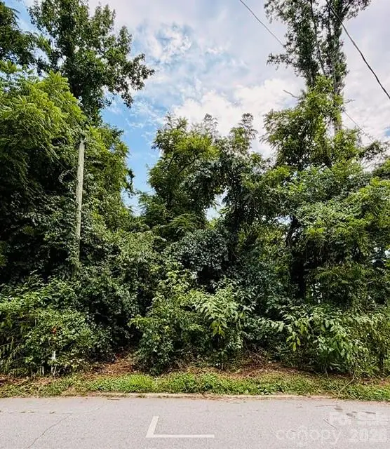 99999 Fairfax Avenue, Asheville, NC 28806 - #3
