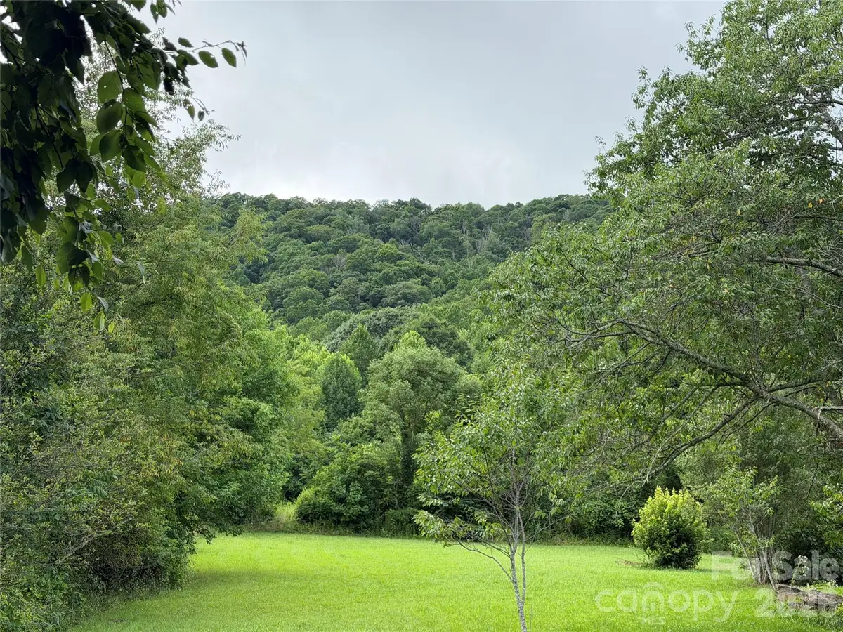 00 Trillium Way, Clyde, NC 28721 - #1
