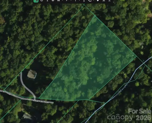 TBD Indian Falls Road, Asheville, NC 28803
