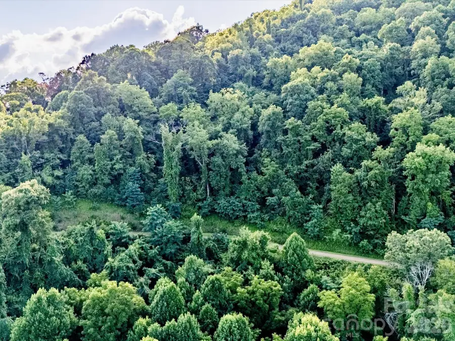 42 High Rock View Drive, Canton, NC 28716 - #2